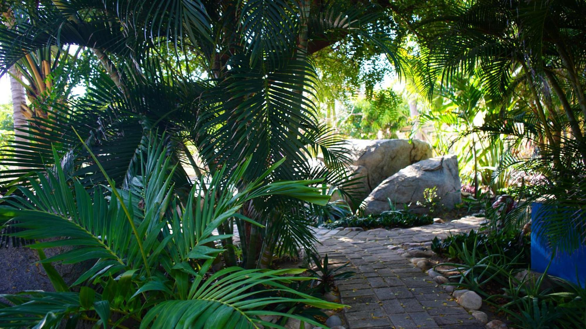 Ocean Oasis Hotel - Adult Only, Four Casitas Boutique Resort Agua Blanca Bagian luar foto