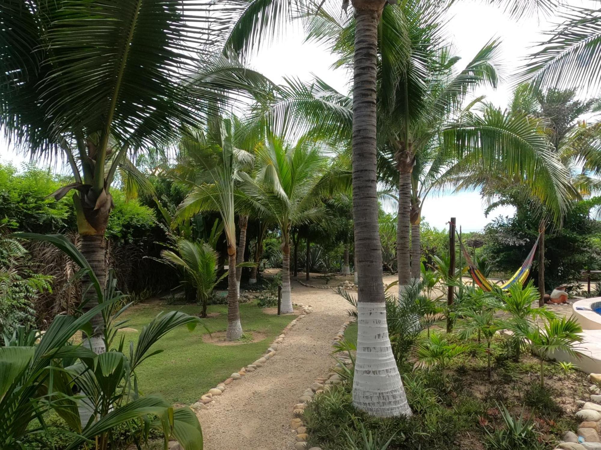 Ocean Oasis Hotel - Adult Only, Four Casitas Boutique Resort Agua Blanca Bagian luar foto